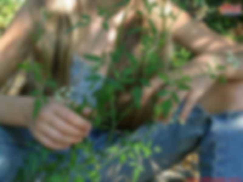 040.jpg