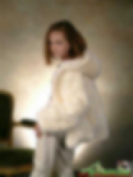 gallery117_13.jpg