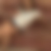 ma1215-001-009.jpg