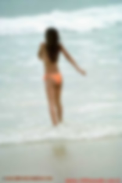 taiss_lgh02009.jpg