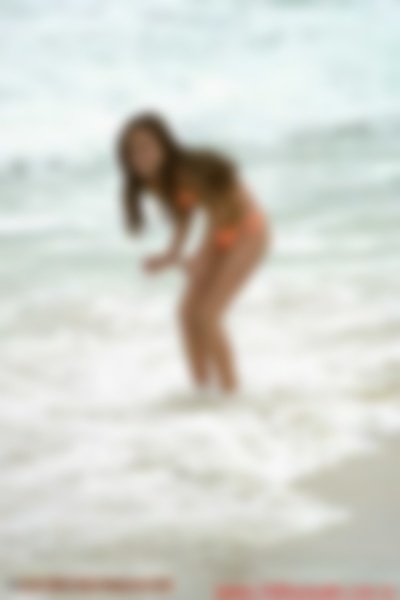 taiss_lgh02010.jpg