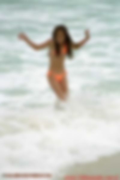 taiss_lgh02011.jpg